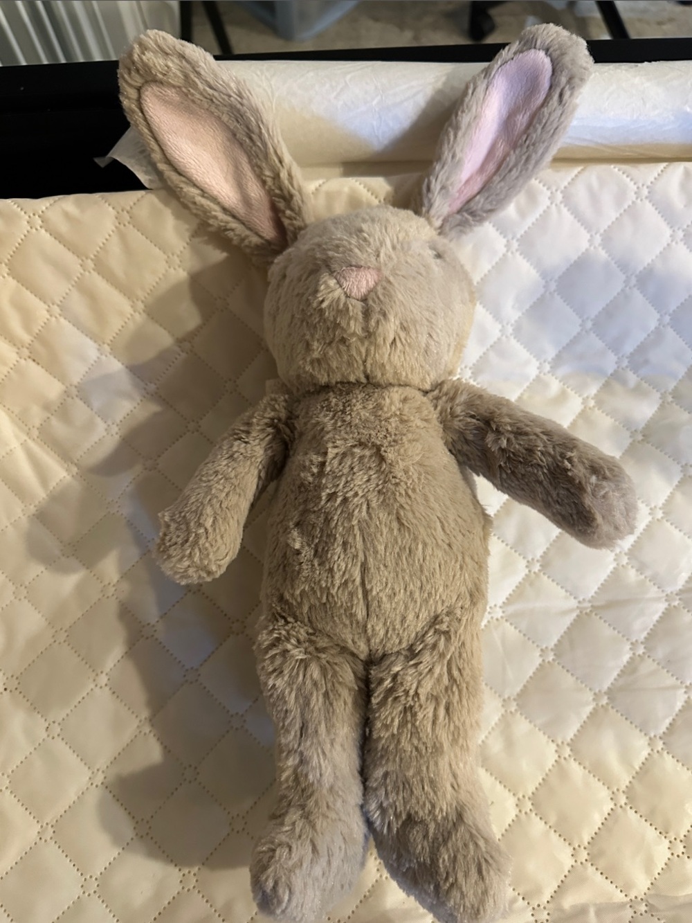 Cloud B Pottery barn Kids White Noise Plush Bunny